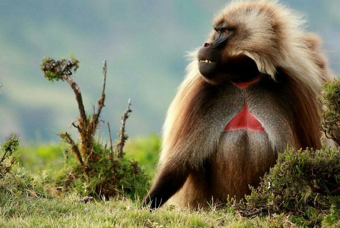 10 Days in Northern Ethiopia Tours - Why this route works so well