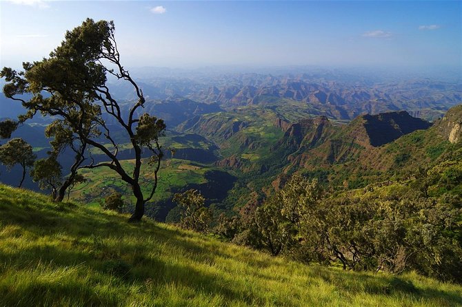 10 Days North Historical Tour - Day 2: Lake Tana’s forest monasteries
