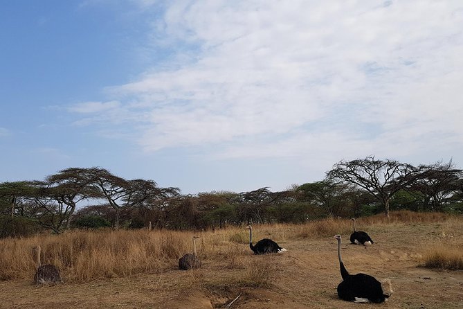 2 Days Ethiopian Rift Valley Lakes Tour from Addis Ababa - Butajira views and a Silte village visit
