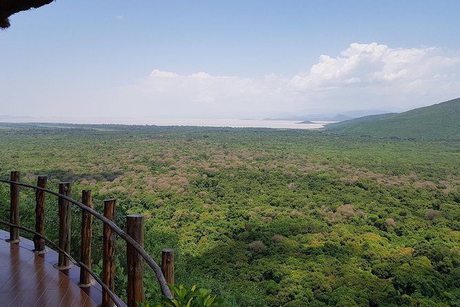2 Days Ethiopian Rift Valley Lakes Tour from Addis Ababa - Melka Kunture and Ethiopia’s early human story