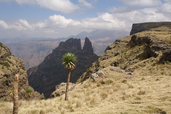 2 Days Simien Mountains Trekking - Practical preparation for the two walking days
