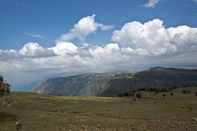 2 Days Simien Mountains Trekking - Leaving Gonder for Debark and the park gate