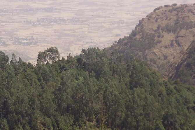 2 days trek around Lalibela - Day one: five to six hours through rural scenery