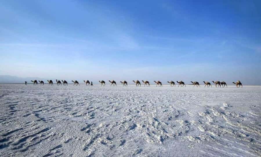 2-Night 3-Day Danakil Depression Tour without Flights - What the $300 price really covers