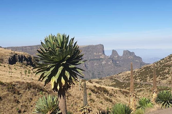 2 Nights 3 Days Trek to Semien Mountain - Fitness, altitude, and the real demands of the route