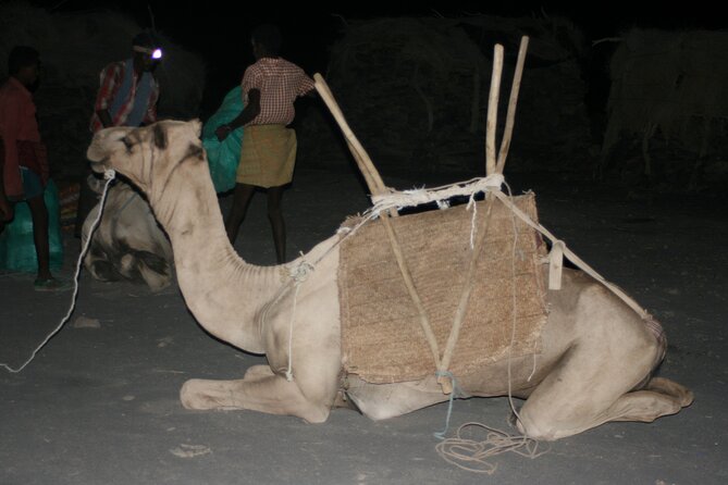3-Day Danakil Depression Expedition - Food, water, and camping comfort