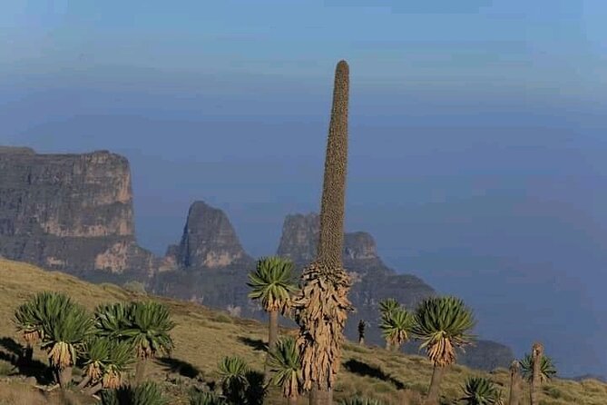 3 Day Simien Mountains Tours - Guides, group size, and the pickup puzzle