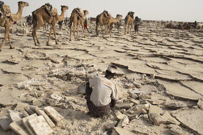 3 Day Tour to the Danakil Depression, Dallol, and Earta'le Volcano - Day 3: Dallol at sunrise and the road to Mekele