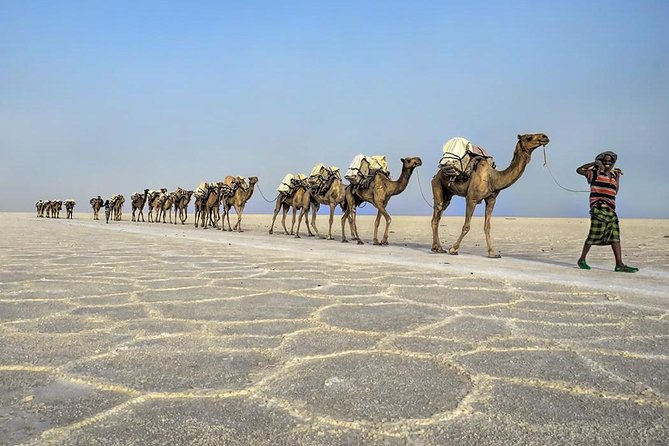3 Day Tour to the Danakil Depression, Dallol, and Earta'le Volcano - What the $550 price really includes