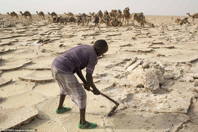 3 Days Danakil Depression Tours Via Semera - Comfort, meals, and what to pack