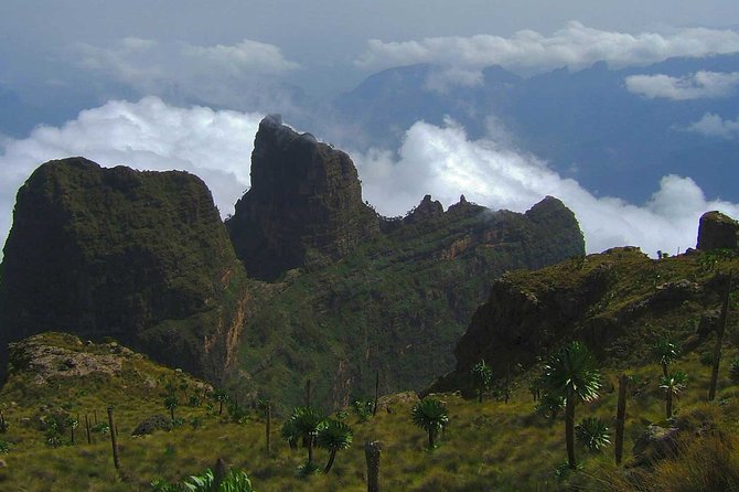 4 Days Trekking to Simien Mountain National Park - Should you book the Simien Mountains trek?