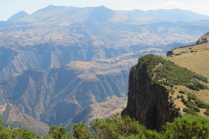 4 Days Trekking to Simien Mountain National Park - Giant lobelia and the high cliffs of Imet-Gogo