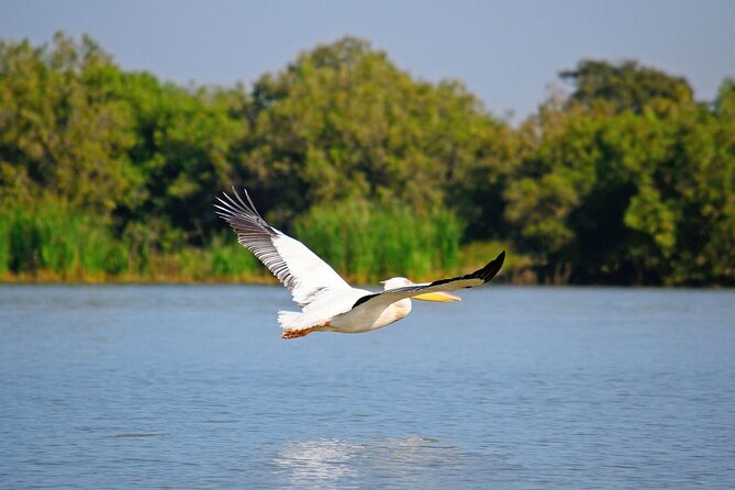 5 Day Addis,Bahir Dar,Gondar,Simien Mountains and Lalibela Tours - Simien Mountains: high roads and big views