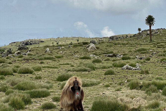 5-Day Northern Ethiopia Tour : 3D Simien Mountains Trek & Axum. - The road from Axum toward the Simien Mountains