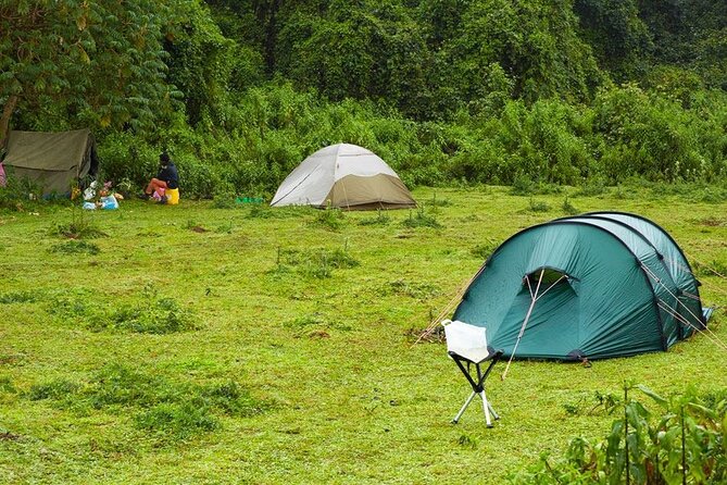 6 Days Bale Mountains Trekking - Day 4: Volcanic ridges and Ice Age country