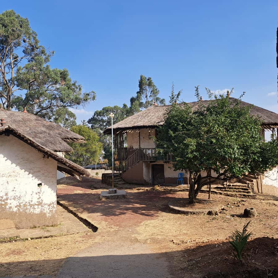 Addis Ababa at a Glance - Coffee, juice, and Ethiopian food culture