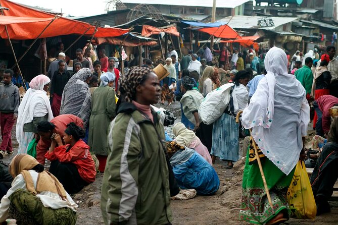 Addis Ababa City Tours Full Day With Hotel Pickup And Drop Off - The Lion of Judah and Ethiopia’s national symbols