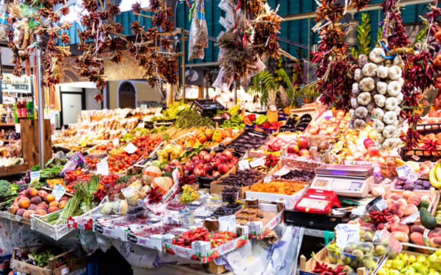 Addis Ababa: Entoto hill and Mercato Market layover tour - Who should book this Addis Ababa tour?