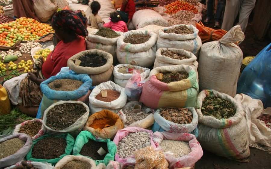 Addis Ababa: Entoto hill and Mercato Market layover tour - Menelik II’s former palace puts the view in context