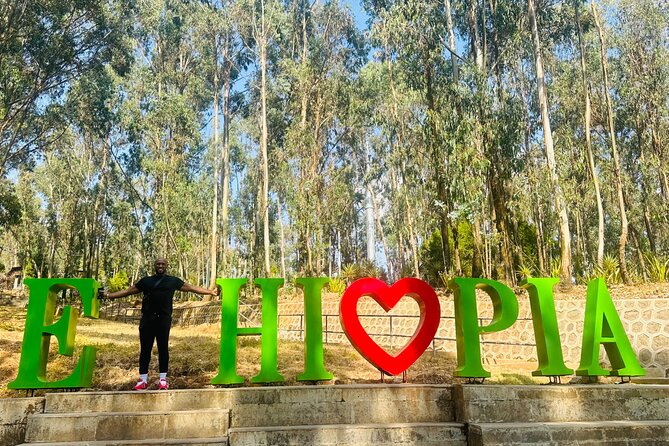Addis Ababa Guided City Tours - Mount Entoto for forest and city views