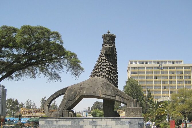 Addis Ababa - Half Day Cultural Experience - Mercato, spices, bargaining, and back streets
