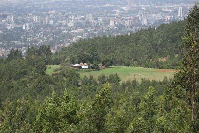 Addis Ababa +Mount Entoto View Point,Museums Palace Market Tours - Tomoca Coffee, then honey in Bole