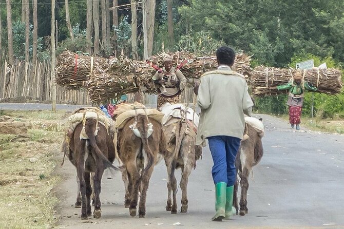 Addis Ababa +Mount Entoto View Point,Museums Palace Market Tours - Shiro Meda Market: textiles and bargaining