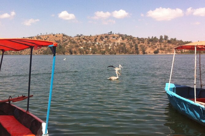 Addis Ababa Spa Day Trip To Debre Ziet(Resort Towns) - Choosing Between Rest and Activity