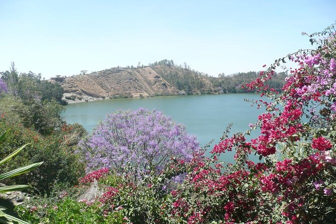 Addis Ababa Spa Day Trip To Debre Ziet(Resort Towns) - What Makes Debre Ziet Worth the Drive