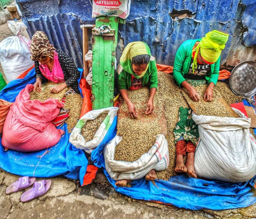 "Addis Uncovered: Culture, Views & Everyday Vibes - Mount Entoto and the high view over Addis Ababa