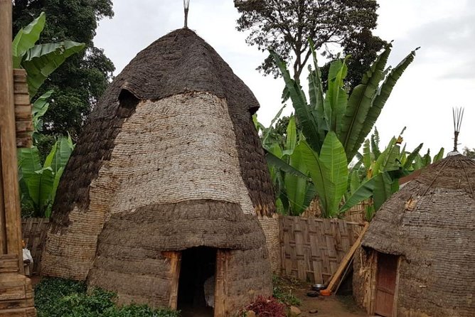 Arba Minch, Dorze Tribe, Konso, and Awasa Private 4 Days Tour from Addis Ababa - Day 1: Tiya stones, Butajira, and the Rift Valley