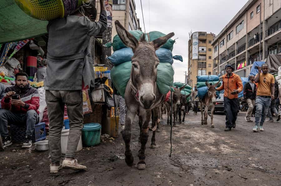 Authentic Addis Ababa City Tour with a Local Guide - Walking through Mercato with local help