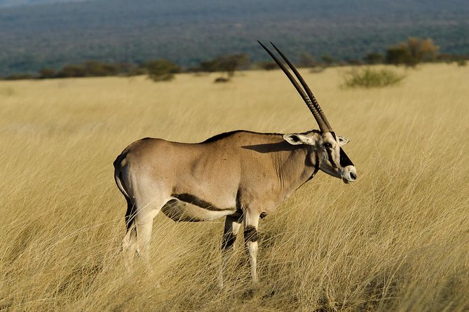 Awash National Park Tours - Leaving Addis Ababa for Awash National Park