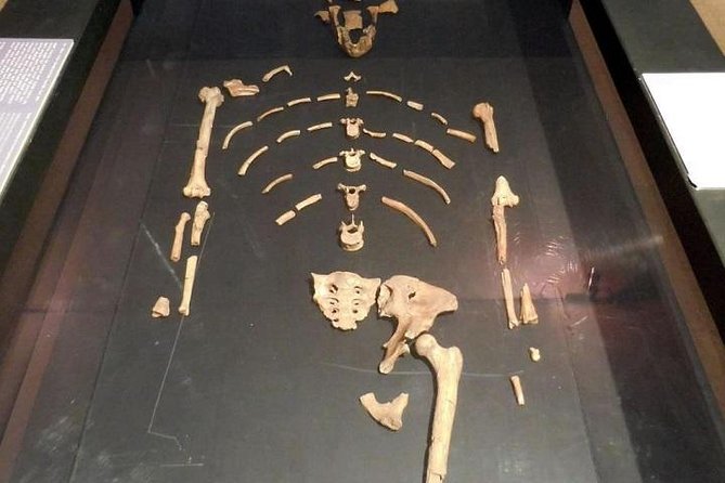 Best of Addis Ababa Guided City Tour - The National Museum and the Lucy display