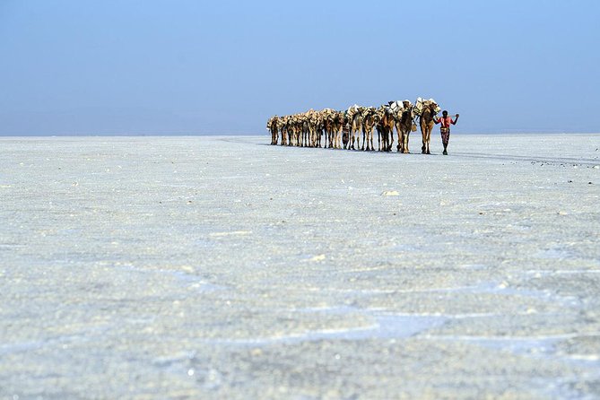 Danakil 3 days tour - Day 3: Salt miners, Dallol, and Lake Assal