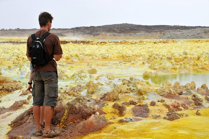 Danakil Depression 4 days Tour - Borele Ale and Ahmed Ela