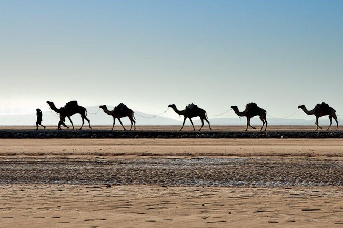 Danakil Depression and Lalibela 5 Days Tours - Three days at the lowest, hottest edge of Ethiopia