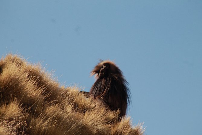 Day Hike Around Lalibela - Is $50 a good value?