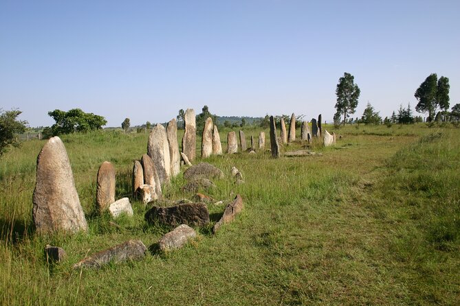Day Tours to Tiya Stele and Cave Churches of Adadi Maryam - The guide and driver can shape the day