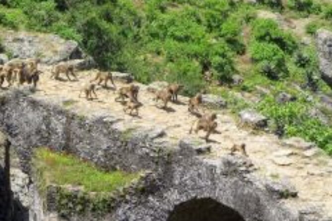 Day Trip Around Addis Ababa - The short walk to Saint Tekle Haymanot’s cave