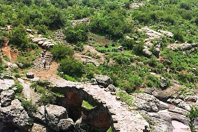 Day Trip Debre Libanos Bule Nile George and Portugal Bridge - Guides, Drivers, and the Human Side of the Tour
