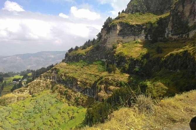 Day Trip From Addis Ababa See Historical Monastery,Stunning Nature,Animals,Birds - Gelada monkeys and the gorge wildlife