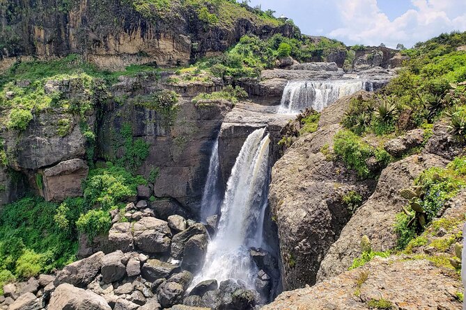 Day Trip From Addis Ababa See Historical Monastery,Stunning Nature,Animals,Birds - Guides, driving, and the practical feel of the day