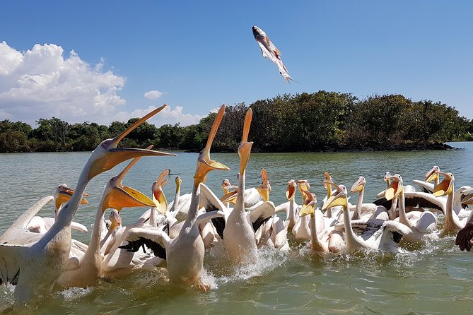 Day trip on Bahir dar. To visit lake tana monasteries and Blue Nile Falls. - Key points at a glance