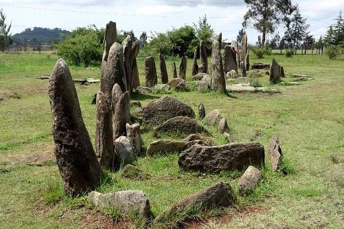 Day trip to Adadi Mariyam, Tiya and Melka kunture - Three very different windows into Ethiopia