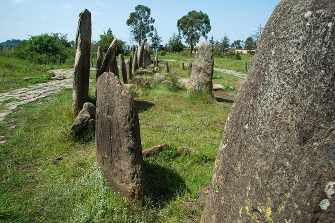 Day trip to Adadi Mariyam, Tiya and Melka kunture - Tiya and its mysterious standing stones