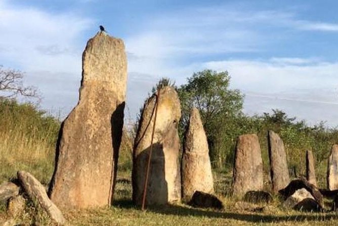 Day trip to Adadi Mariyam, Tiya and Melka kunture - Is $58 a fair price?