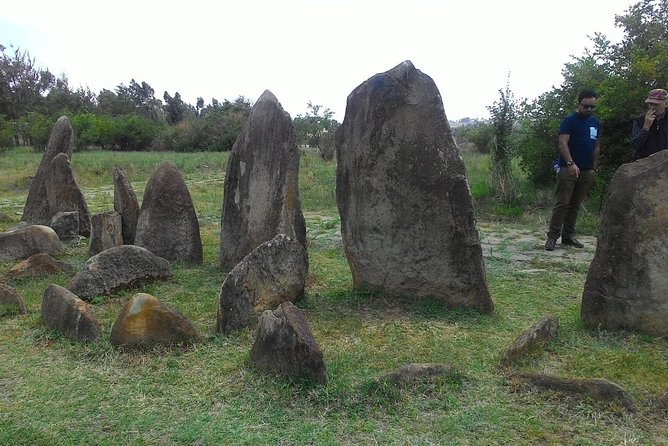 Day trip to Adadi Mariyam, Tiya and Melka kunture - What the mixed reactions mean for you