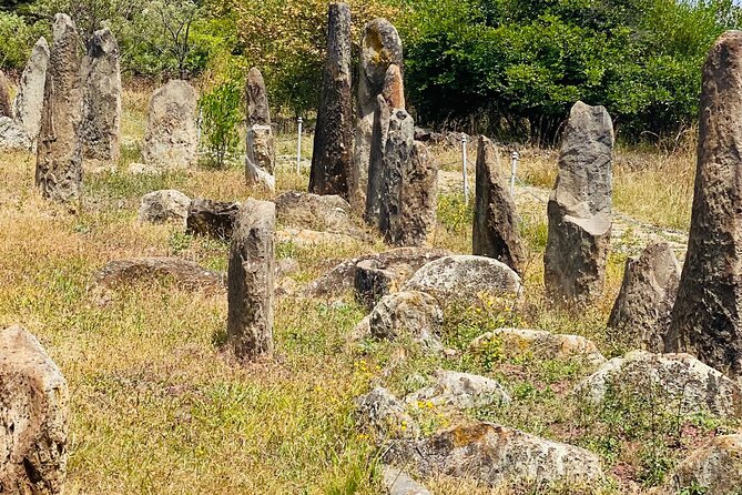 Day Trip to Adadi Rock and Tiya Archeological Excursion - Adadi Mariam, a church cut into the rock