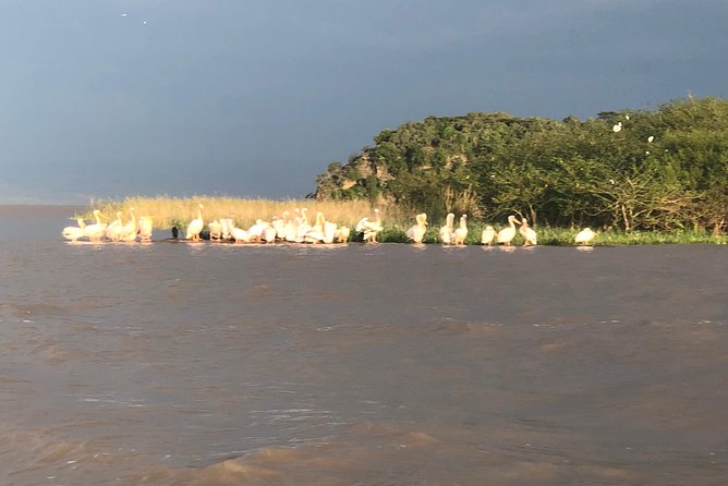 Day Trip To Lake Ziway - Why Lake Ziway makes a strong day trip from Addis Ababa